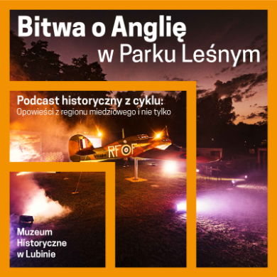 Bitwa o Anglię w Parku Leśnym