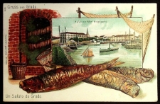 Karta pocztowa : Pozdrowienia z Grado, Port z hotelem Grignaschi