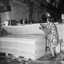 Dolnośląskie Zakłady Wyrobów Papierowych Dolpakart w Chojnowie