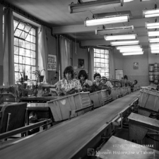 Złotoryjskie Zakłady Obuwia