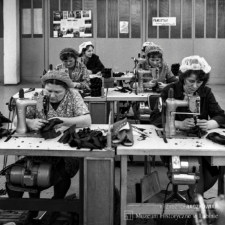 Dolnośląskie Zakłady Białoskórniczo-Rękawicznicze Renifer