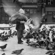 Legnica : pod katedrą