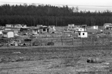 Lubin : ogr&oacute;dki działkowe