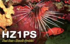 Karta QSL HZ1PS : Arabia Saudyjska