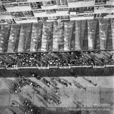 Jamniki z g&oacute;ry