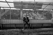 Kazimierz Górski 1993