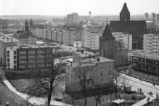 Panorama rynku