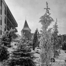 Świąteczne nastroje