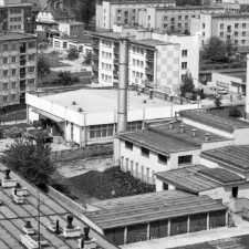 W&oacute;wczas nie m&oacute;wiono o ekologii