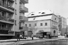 Zimujący warzywniak