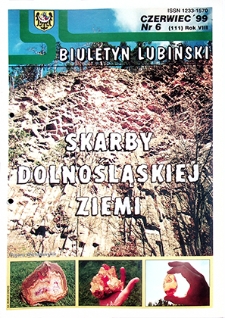 Biuletyn Lubiński nr 6 (111), czerwiec `99