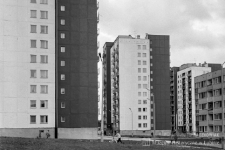 Gęstwa blok&oacute;w