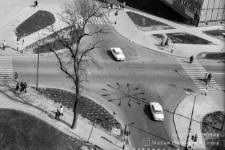 Gwiazda skrzyżowania