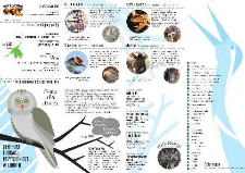 Parkogranie w zgadywanie : mapa dla dzieci