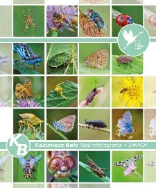 Makrofotografia : owady