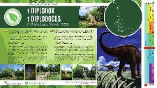 Diplodok