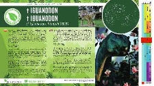 Iguanodon