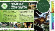 Parazaurolof