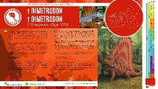 Dimetrodon