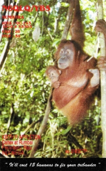Karta QSL N6QLQ/YB5 : Indonezja : IOTA OC-143