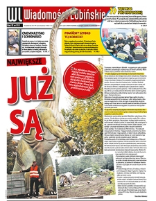 Wiadomości Lubińskie nr 313, październik 2013