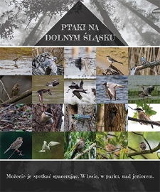 Ptaki na Dolnym Śląsku