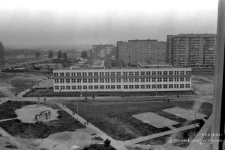 Szkoła Podstawowa nr 10 w Lubinie