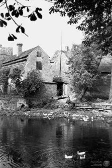 Ulica Dąbrowskiego : gospodarstwo domowe nad brzegiem stawu