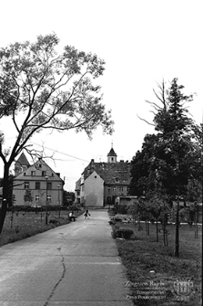 Ulica Pocztowa : aleja w parku