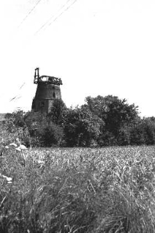 Młyn : widok na stary wiatrak