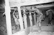 Zakłady Górnicze „Konrad” w Iwinach