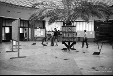 Zakłady Górnicze „Konrad” w Iwinach