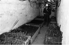 Zakłady Górnicze „Konrad” w Iwinach