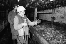 Zakłady Górnicze „Konrad” w Iwinach