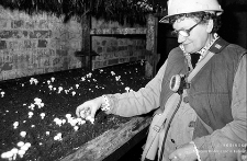 Zakłady Górnicze „Konrad” w Iwinach