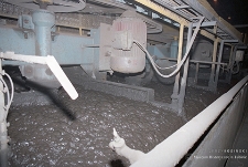 Zakład Wzbogacania Rud przy Zakładach Górniczych „Rudna” : prasa filtracyjna