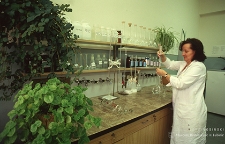 Centrum Badań Jakości