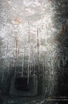 Zakłady Górnicze „Rudna” : wyrobiska górnicze