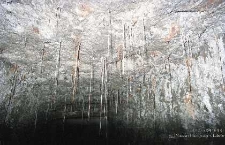 Zakłady Górnicze „Rudna” : wyrobiska górnicze