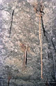 Zakłady Górnicze „Rudna” : wyrobiska górnicze