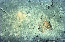 Zakłady Górnicze „Rudna” : wyrobiska górnicze