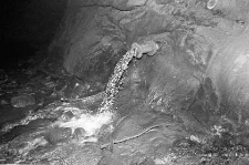 Zakłady Górnicze „Lubin” : prace na przodku