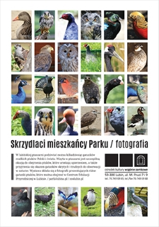 Skrzydlaci mieszkańcy parku