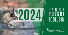 Kalendarz : Fauna Polski. Zoo Lubin 2024