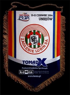 2014 Termy Uniejów Poland CUP : 13–15 czerwiec 2014 Uniejów : Zagłębie Lubin SA