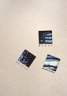 Piotr Młodożeniec : Obrazy